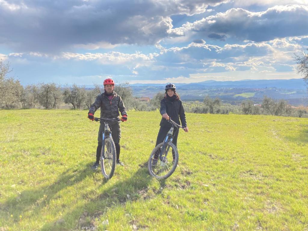 Agriturismo Oliviera Winery & Hiking Vagliagli Exterior foto