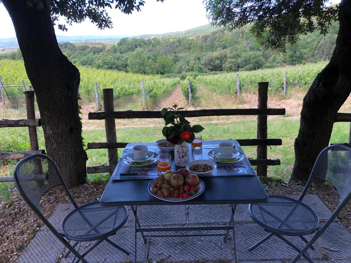 Agriturismo Oliviera Winery & Hiking Vagliagli Exterior foto